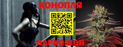 стаф Краснодар