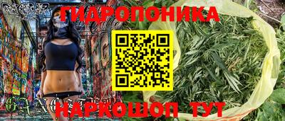 стаф Краснодар
